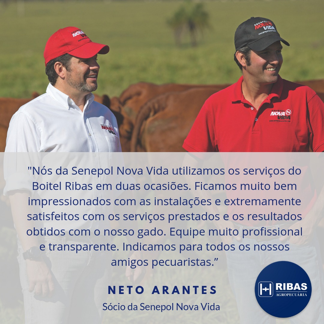 Senepol Nova Vida
